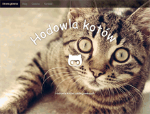 Tablet Screenshot of murasu.pl
